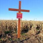 Reducción: el Camino del Peregrino proyecta nuevas conexiones regionales