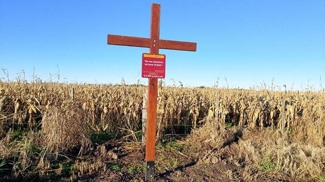 Reducción: el Camino del Peregrino proyecta nuevas conexiones regionales