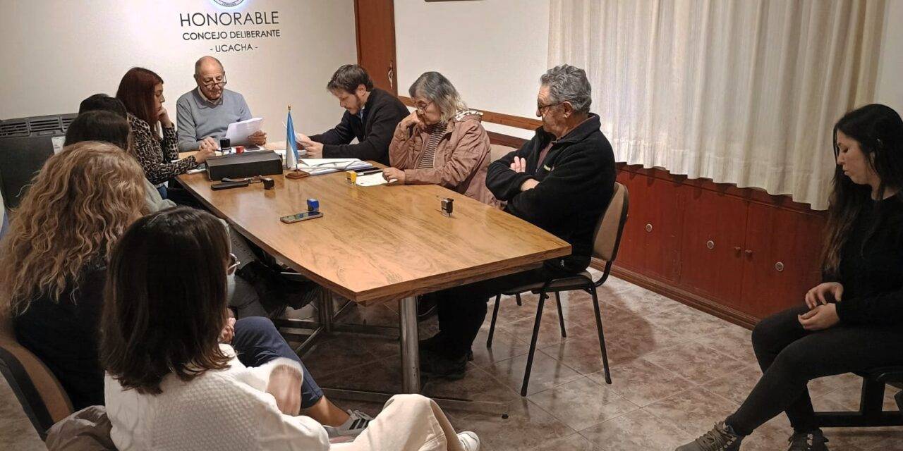 Ucacha aprobó una nueva ordenanza sobre tenencia responsable y protección animal
