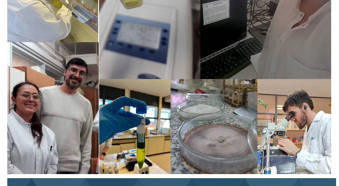La ciencia y la tecnología argentinas atraviesan la peor crisis presupuestaria de su historia