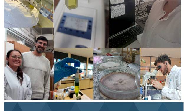 La ciencia y la tecnología argentinas atraviesan la peor crisis presupuestaria de su historia