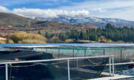 El gobierno nacional avanza en el desarrollo estratégico de la acuicultura