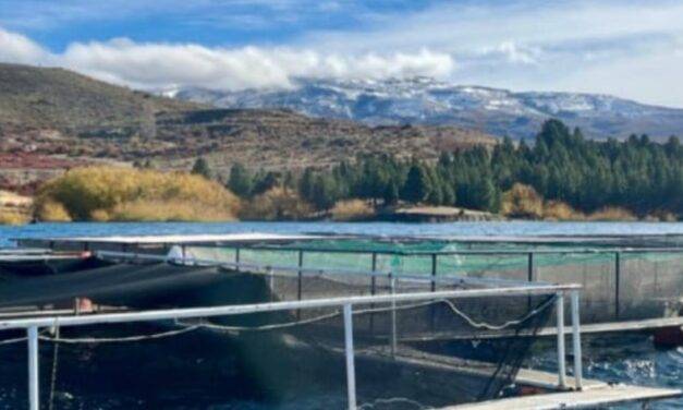 El gobierno nacional avanza en el desarrollo estratégico de la acuicultura