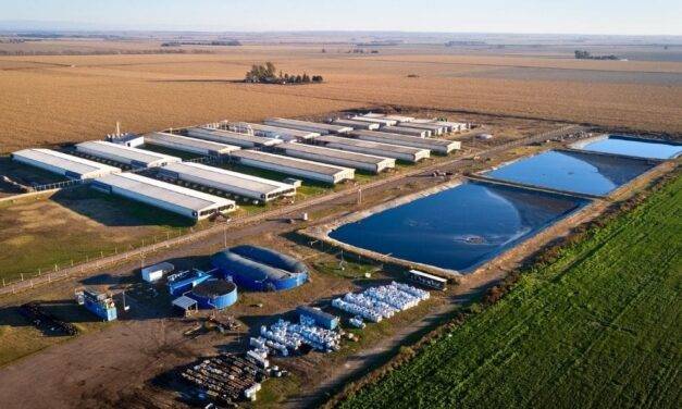 La Provincia certifica los primeros créditos de carbono de una planta de biogás bajo el Estándar CBA
