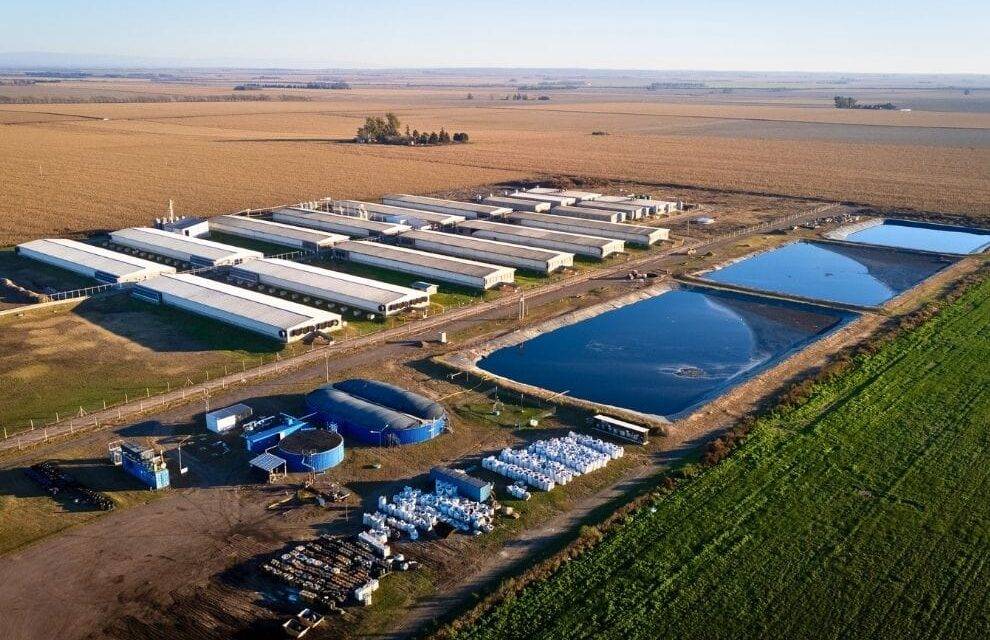 La Provincia certifica los primeros créditos de carbono de una planta de biogás bajo el Estándar CBA