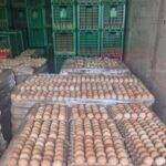 Decomisaron 5000 docenas de huevos por no tener procedencia