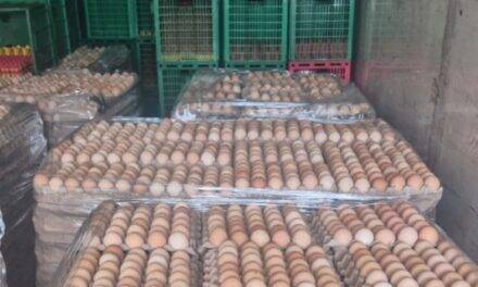 Decomisaron 5000 docenas de huevos por no tener procedencia