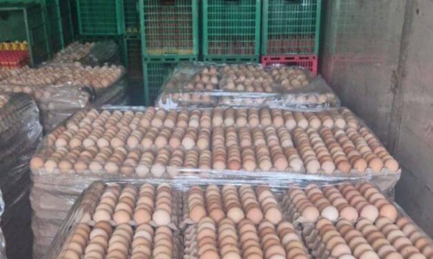 Decomisaron 5000 docenas de huevos por no tener procedencia