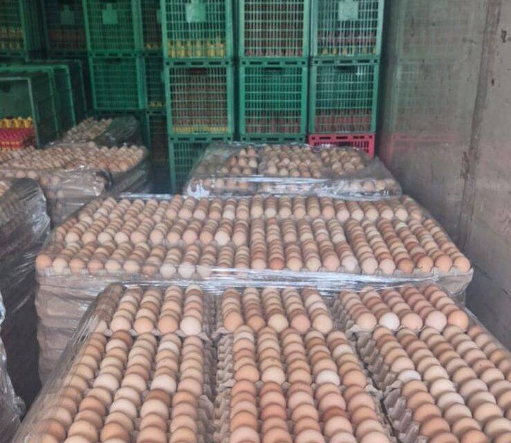 Decomisaron 5000 docenas de huevos por no tener procedencia