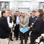 Arandu: la genética que abre una nueva etapa para el algodón argentino