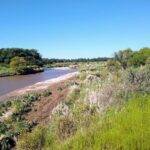 UNRCiencia: Confirmaron la presencia de 18 especies de peces en el tramo urbano del río Cuarto