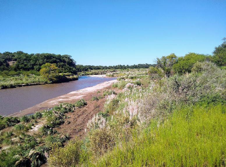 UNRCiencia: Confirmaron la presencia de 18 especies de peces en el tramo urbano del río Cuarto