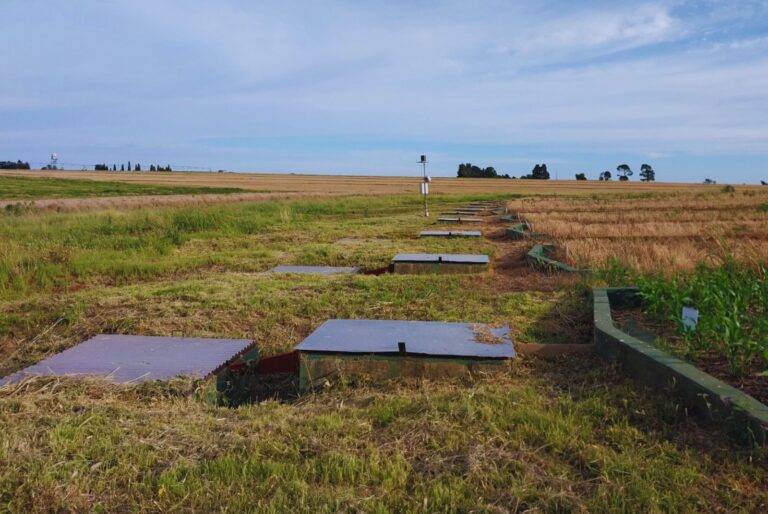 Prácticas de manejo reducen hasta un 54 % las pérdidas de suelo en la región Pampeana