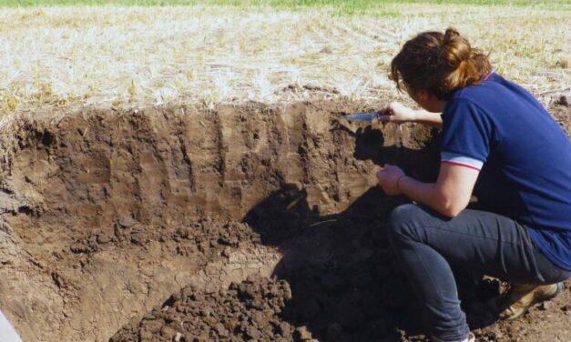 La estructura laminar, una limitante silenciosa que desafía la salud del suelo