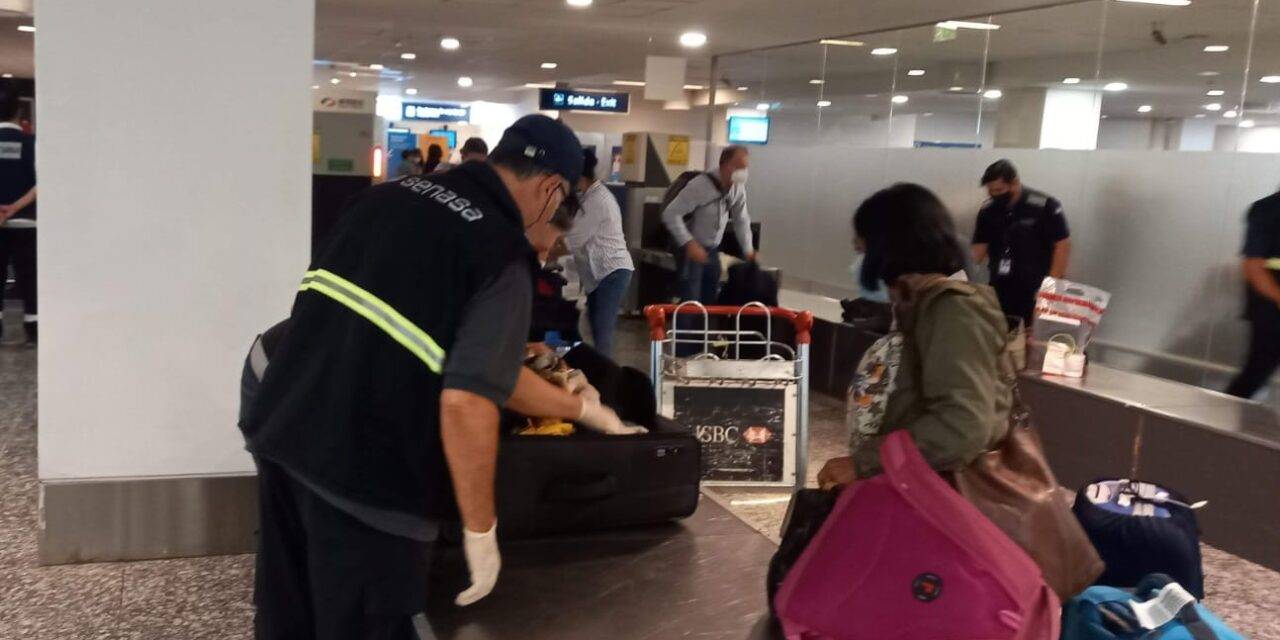 Controles sanitarios en el Aeropuerto Internacional Córdoba en el primer semestre 2026