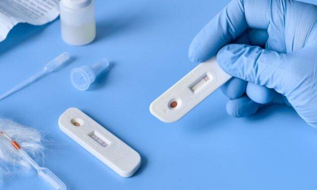 Se actualiza el sistema de diagnóstico para el control y erradicación de la brucelosis bovina