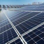 Berrotarán impulsa un Parque Solar para fortalecer la eficiencia energética y reducir costos