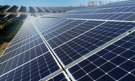 Berrotarán impulsa un Parque Solar para fortalecer la eficiencia energética y reducir costos