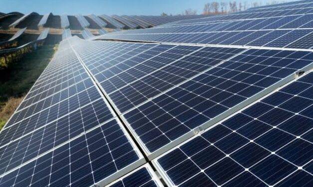 Berrotarán impulsa un Parque Solar para fortalecer la eficiencia energética y reducir costos