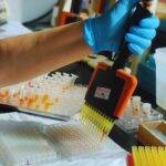Fortalecen un laboratorio que es referencia mundial en tristeza bovina