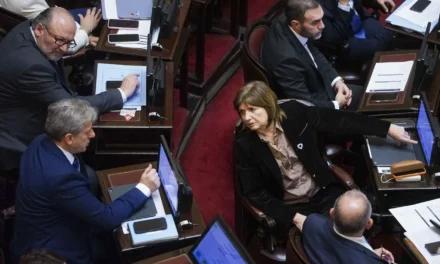 Senado: LLA no llegó con los votos y aplazó el debate de la liberación de tierras para extranjeros