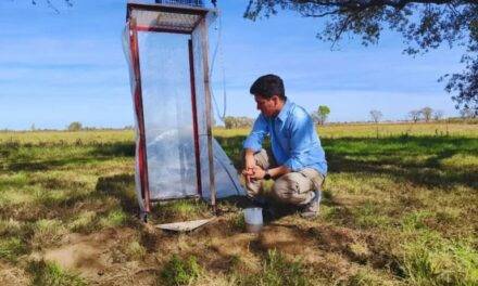 Suelos: claves para minimizar la pérdida de recursos en el semiárido