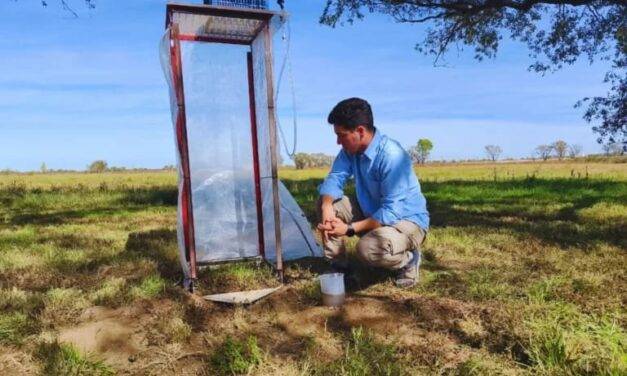 Suelos: claves para minimizar la pérdida de recursos en el semiárido