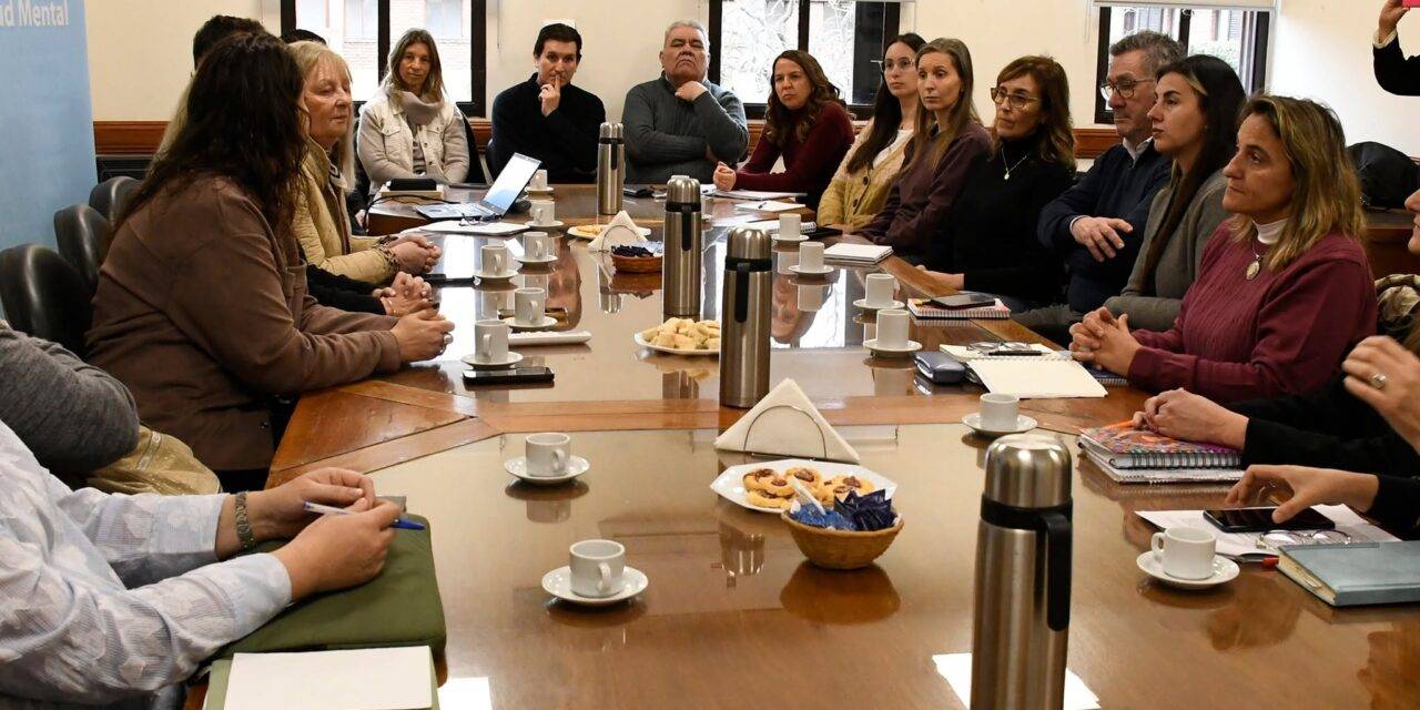 La UNRC presentó un primer mapeo institucional en el marco del  Plan Integral de Salud Mental