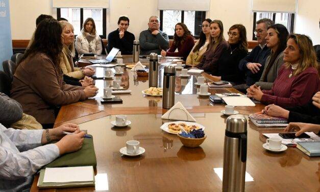 La UNRC presentó un primer mapeo institucional en el marco del  Plan Integral de Salud Mental