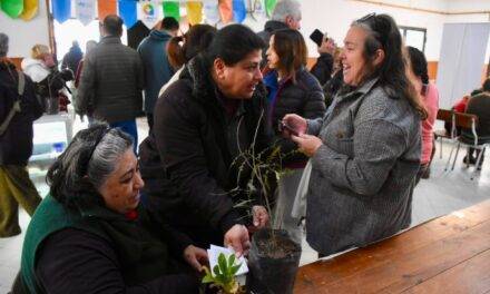 Río Cuarto: la Vecinal Alem fue sede de un nuevo operativo de La Muni en tu Barrio