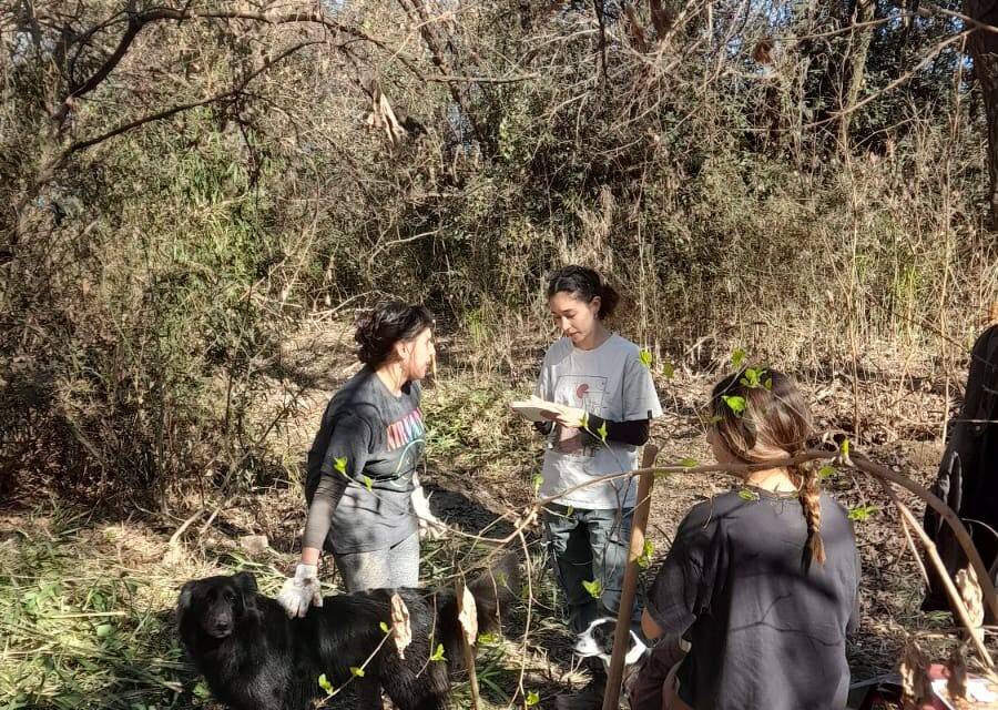 Villa Nueva conmemoró el Día de la Pachamama con una jornada de restauración ambiental en la ribera del río Ctalamochita.
