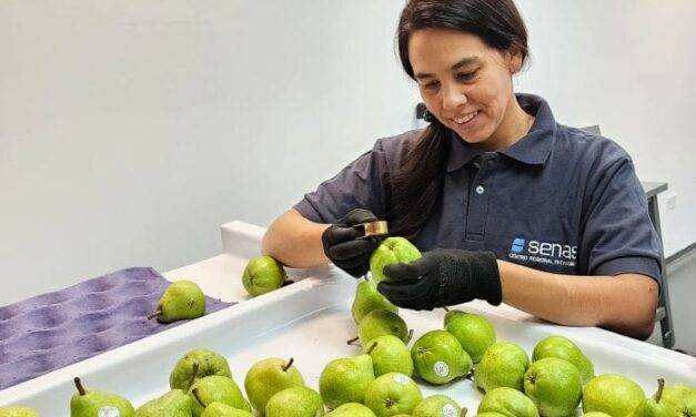 Inscripción en Renspa y programas de exportación para productores frutícolas de Río Negro y Neuquén