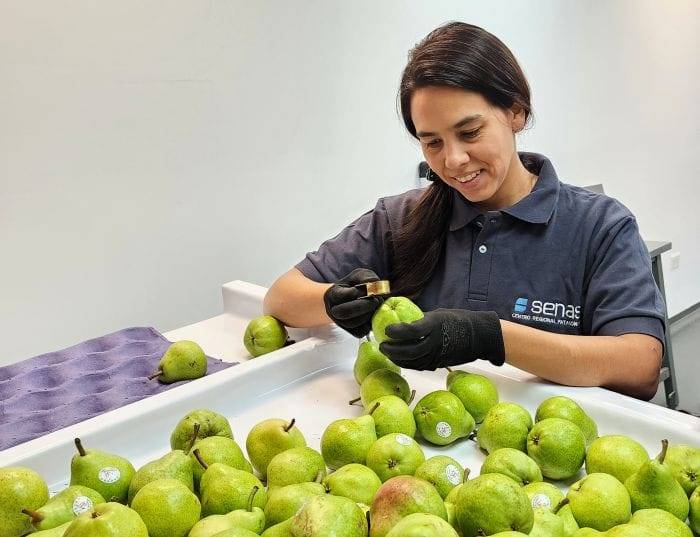 Inscripción en Renspa y programas de exportación para productores frutícolas de Río Negro y Neuquén