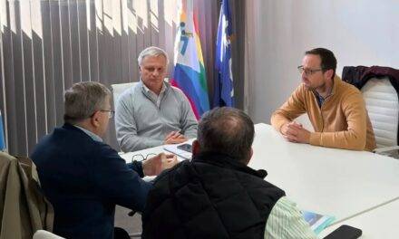 Bulnes avanza con su nuevo parque solar