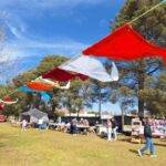 Bulnes realizó la tercera edición de la Feria de Artesanos y Emprendedores
