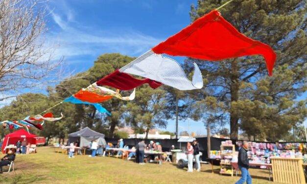 Bulnes realizó la tercera edición de la Feria de Artesanos y Emprendedores