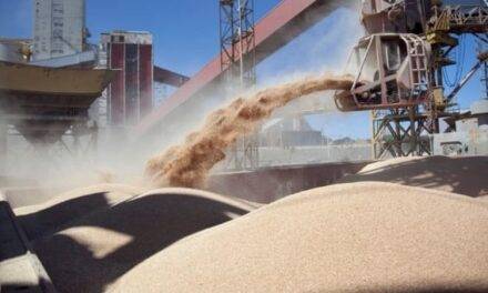 Inscripción para exportadores de granos de cebada, trigo, soja, sorgo y maíz a China