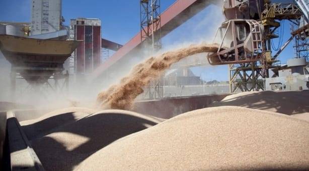 Inscripción para exportadores de granos de cebada, trigo, soja, sorgo y maíz a China
