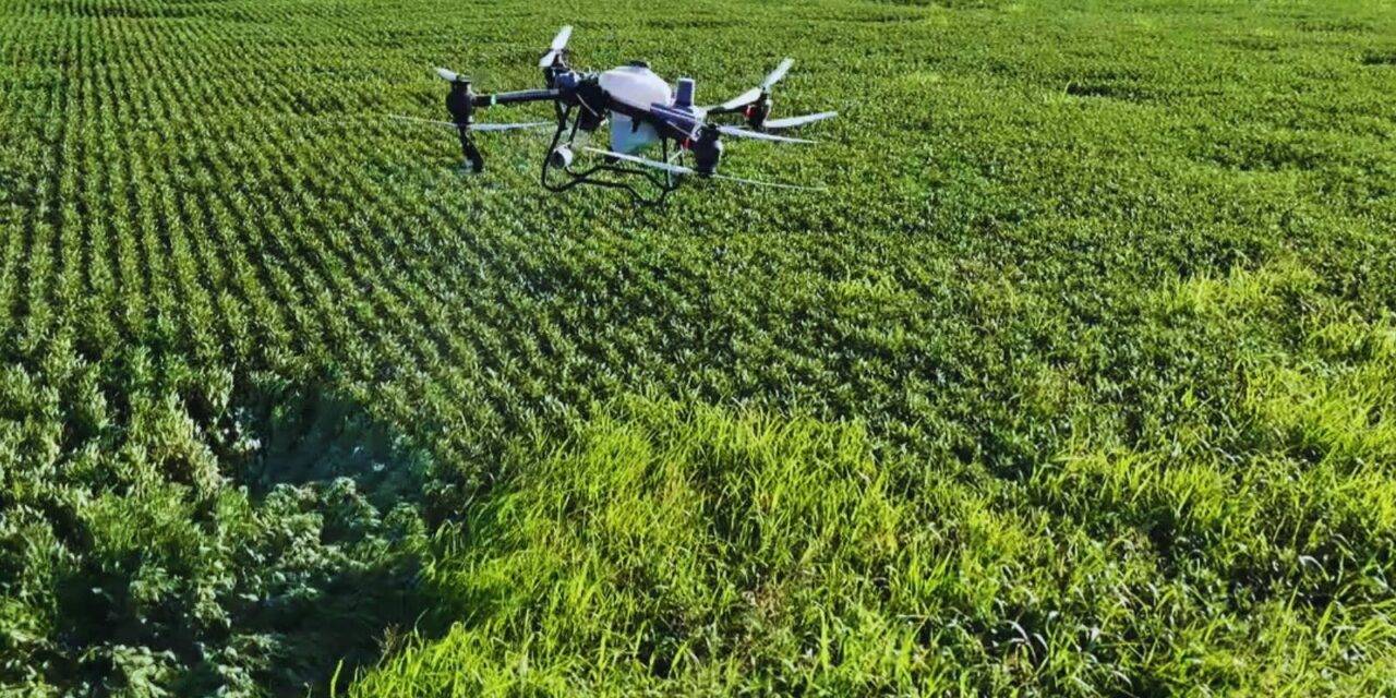Drones, datos y decisiones: el desafío de una gestión más inteligente