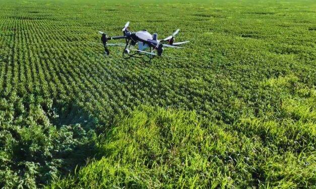 Drones, datos y decisiones: el desafío de una gestión más inteligente