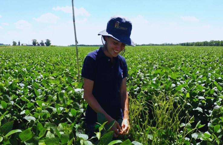 Soja: el manejo influye en la calidad industrial y nutracéutica del grano