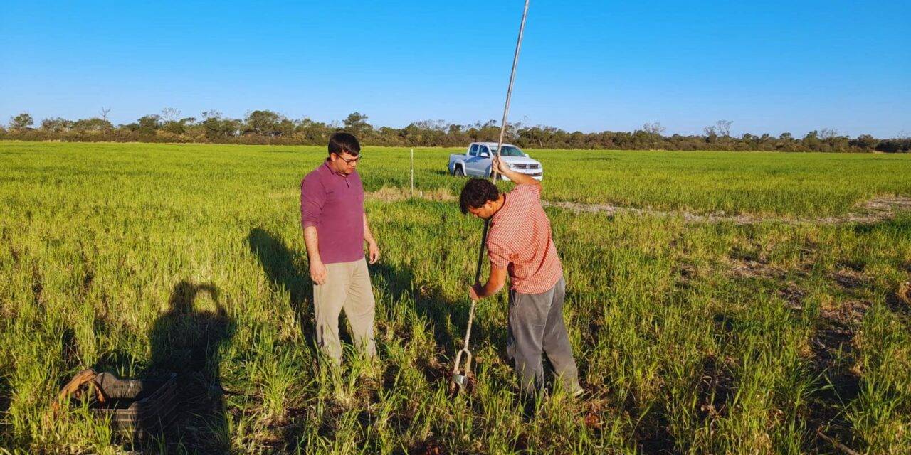 Administrar riesgos y transformar más agua en más producción