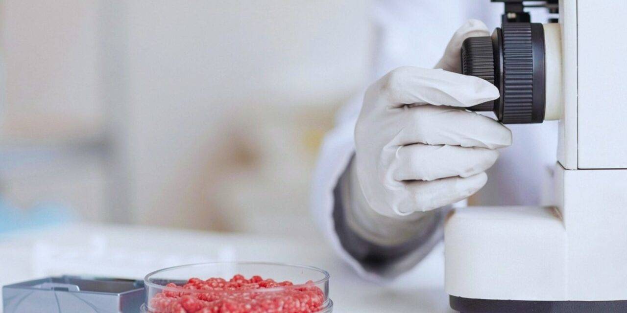 Con irradiación gamma, reducen la presencia de Escherichia coli