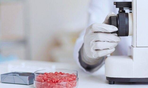 Con irradiación gamma, reducen la presencia de Escherichia coli