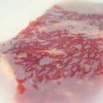 Innovación argentina: crean un film biodegradable para conservar carne y reducir residuos plásticos
