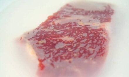 Innovación argentina: crean un film biodegradable para conservar carne y reducir residuos plásticos