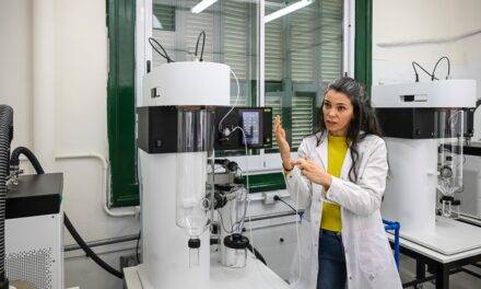 Innovación en Córdoba: científicas desarrollan miel en polvo