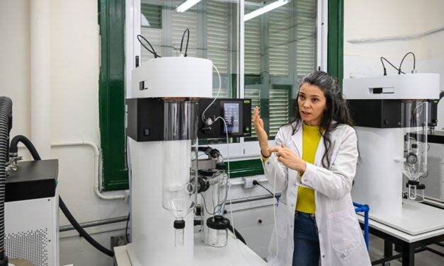 Innovación en Córdoba: científicas desarrollan miel en polvo