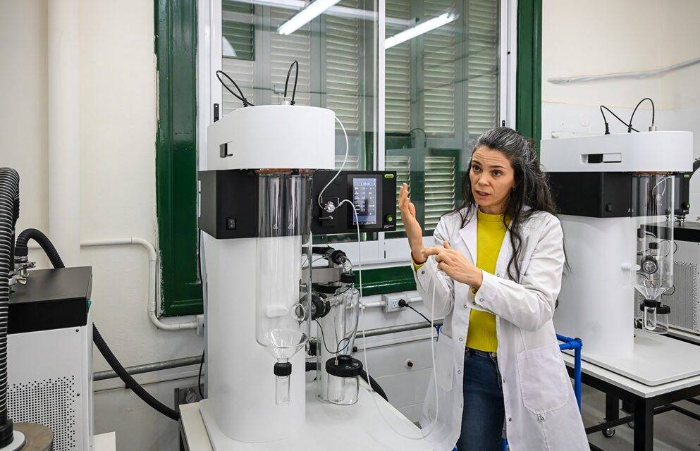 Innovación en Córdoba: científicas desarrollan miel en polvo
