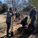 Plantaron más de 60 nuevos árboles en el marco del programa Levalle Verde